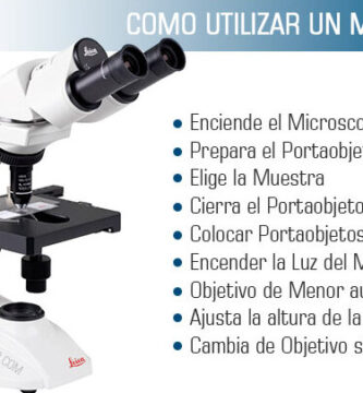 por que es importante el cuidado de un microscopio
