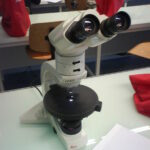 que es el microscopio de luz polarizada
