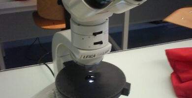 que es el microscopio de luz polarizada