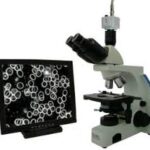 qué es el microscopio de campo oscuro y cuál es el uso que se le da