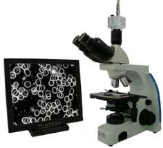 qué es el microscopio de campo oscuro y cuál es el uso que se le da